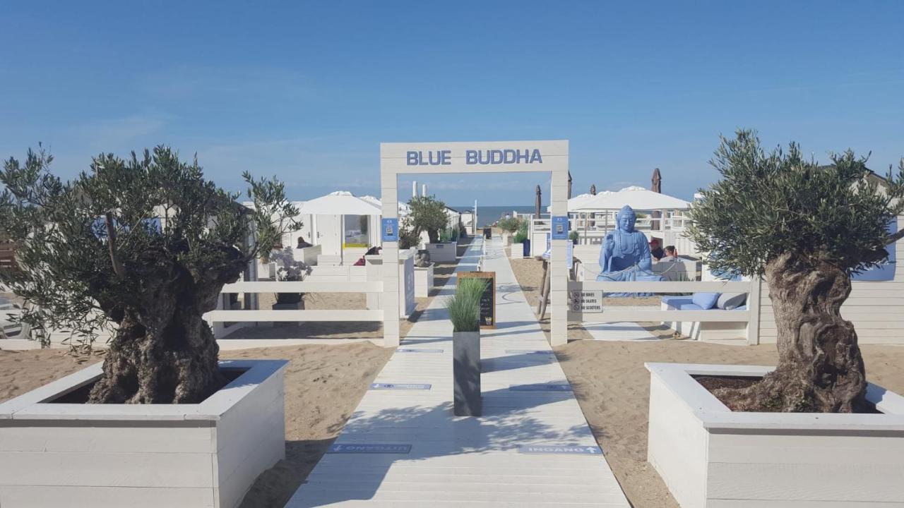 DuinbergenNieuw App Met Tuin En Terras, Gratis Parking, Aan Zee, Vlakbij Bruggeアパートメント エクステリア 写真