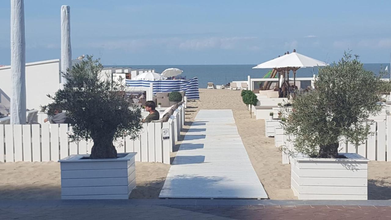 DuinbergenNieuw App Met Tuin En Terras, Gratis Parking, Aan Zee, Vlakbij Bruggeアパートメント エクステリア 写真