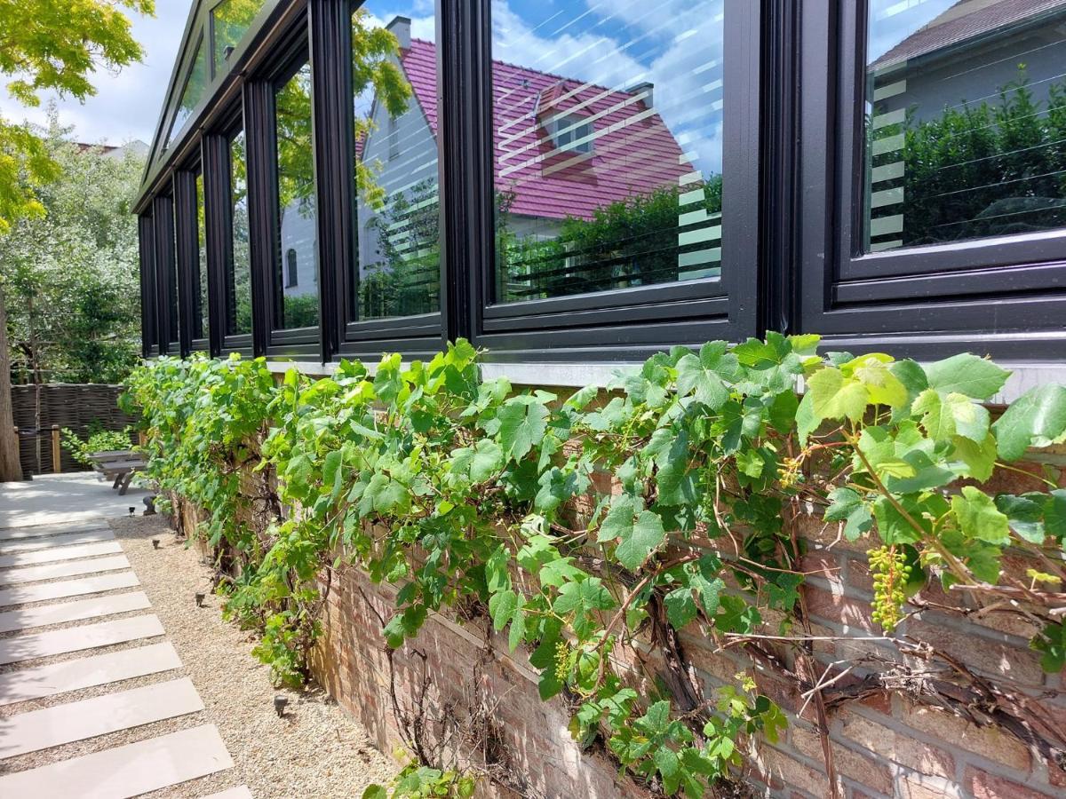 DuinbergenNieuw App Met Tuin En Terras, Gratis Parking, Aan Zee, Vlakbij Bruggeアパートメント エクステリア 写真